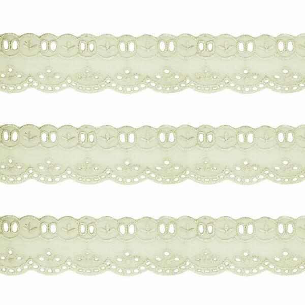 Bordado com Passa Fita - 42mm x 13,7m - 652522