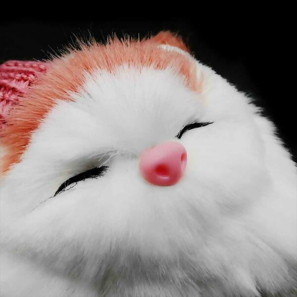 aplique-cabeca-gato-154188-2