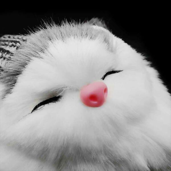 aplique-cabeca-gato-154188-cinza-2