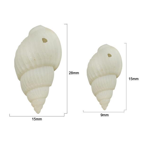 aplique-conha-151891-regua