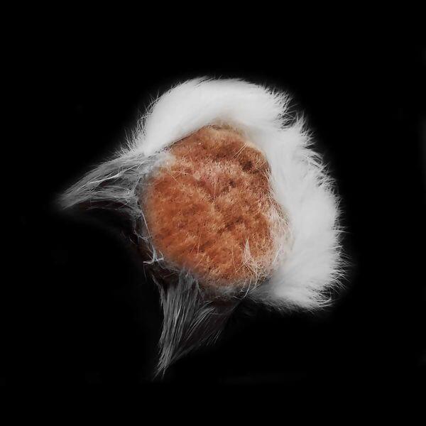 aplique-dog-pelucia-154189-cinza-1