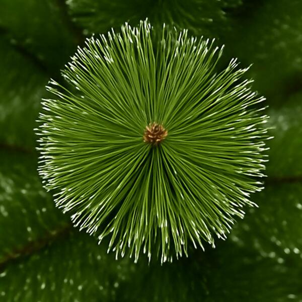 arvore-de-natal-ro154403-3