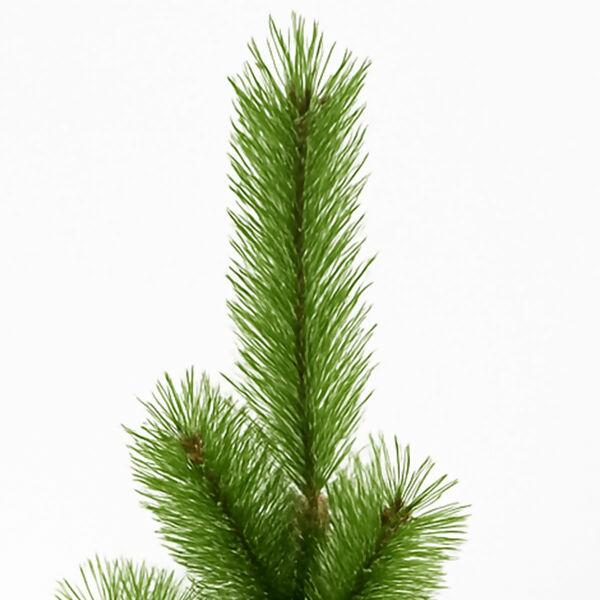 arvore-de-natal-ro154403-4