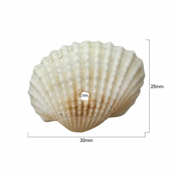 concha-151890-cru-regua