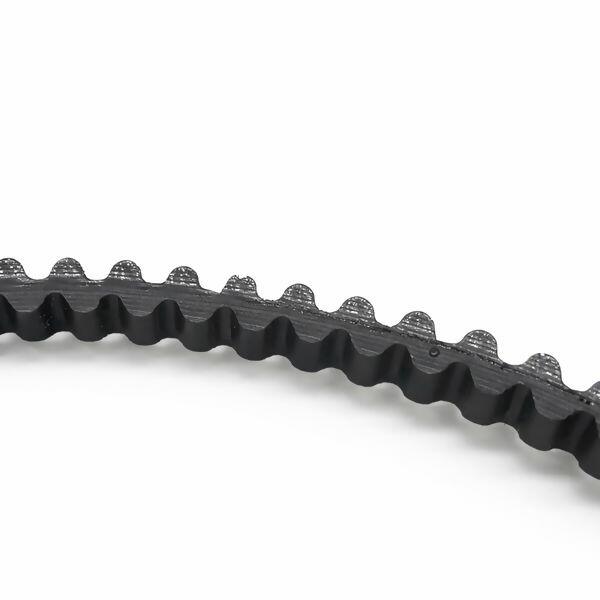 correia-domestica-dupla-face-ut1062-1