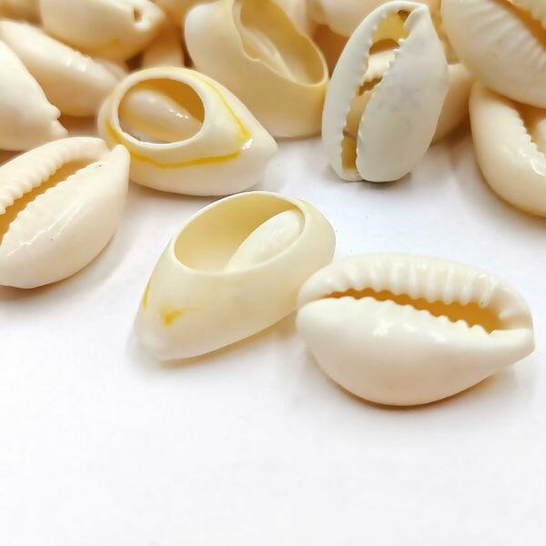 detalhe-buzios-aberto-natural-089412