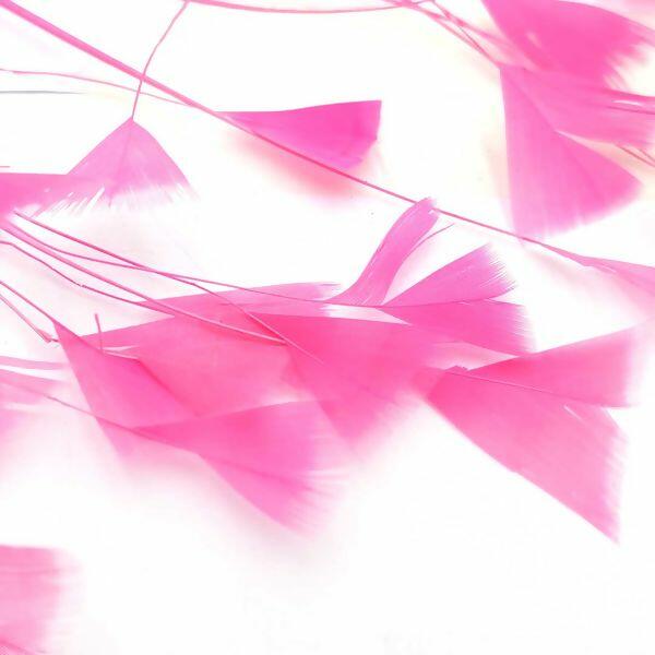 detalhe-pluma-152862-regua