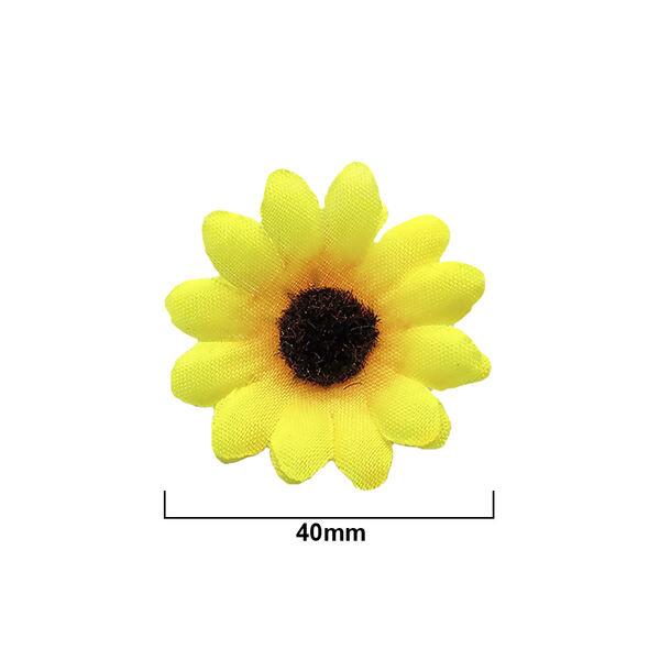 flor-girassol-153810-regua