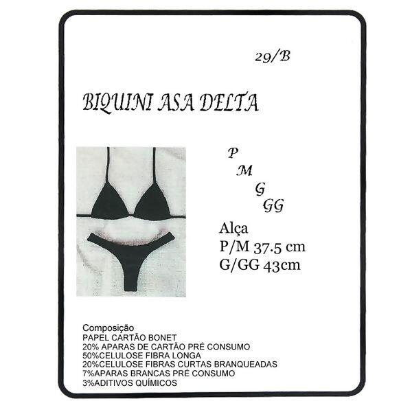 Molde Nº29/B biquini asa delta - P - M - G - GG 34928