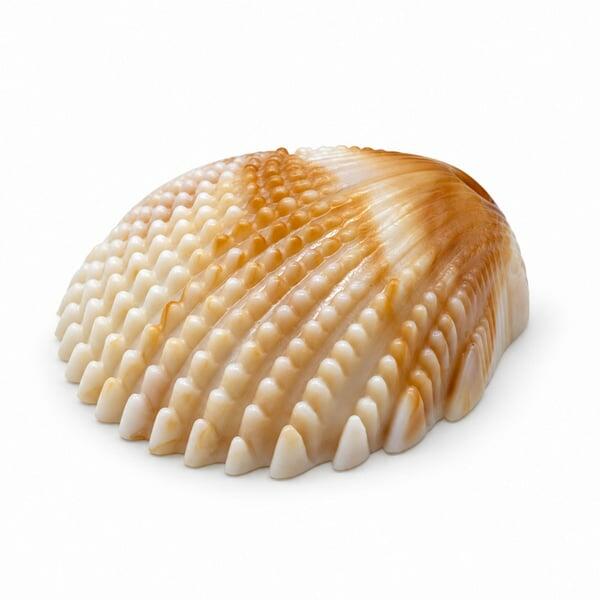 Pingente Conchas Bege Acrílico 28,6x11mm - vista frontal