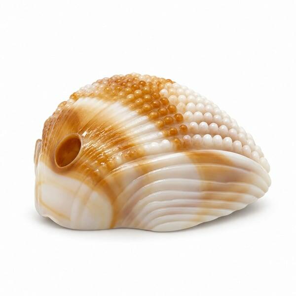 Pingente Conchas Bege Acrílico 28,6x11mm - vista lateral