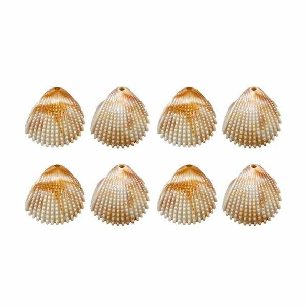 Pingente Conchas Bege Acrílico RO.154224 - imagem ilustrativa do pacote