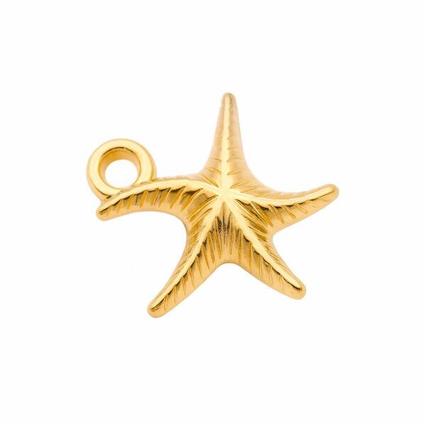 pingente-estrela-mar-ro154241-dou