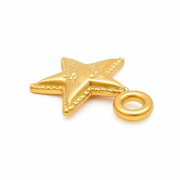 pingente-estrela-ro154232-1