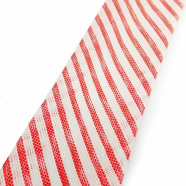 vies-listrado-estampado-cinderela-13mm-1