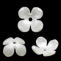 entremeio-flor-branco-ro153683