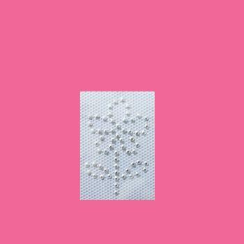 Strass termo flor pacote c/5 unidades 2337 - 6765 