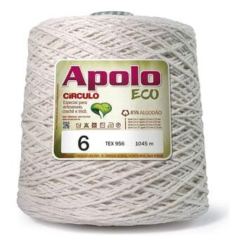 barbante-apolo-eco-circulo-n6-1kg