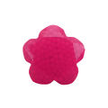 APLIQUEFLORPINK