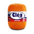fio-clea-1000-4131-dark-cheddar