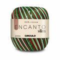 fio-encanto-slim-guirlanda-9070