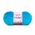 fio-mollet-100-2194-turquesa
