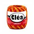 fio-mult-clea-125-9165-hibisco-ama