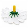 flor-margarida-ro160001-4cm-1