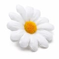 flor-margarida-ro160001-4cm-3