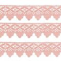 guipir_07666_rose11