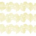 guipir_115078_champagne323