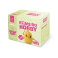 kit-amigurumi-primeiro-hobby-pintinho