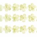 passamanaria_flor_151728_amarelo
