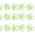 passamanaria_flor_151728_verde