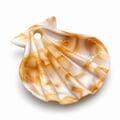 pingente-concha-ro160135-3