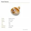 Ficha técnica - Pingente conchas bege acrílico RO.154225