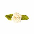 rococo_flor_creme_40205