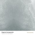 Saco de Organza Prata 100 unidades - tecido organza